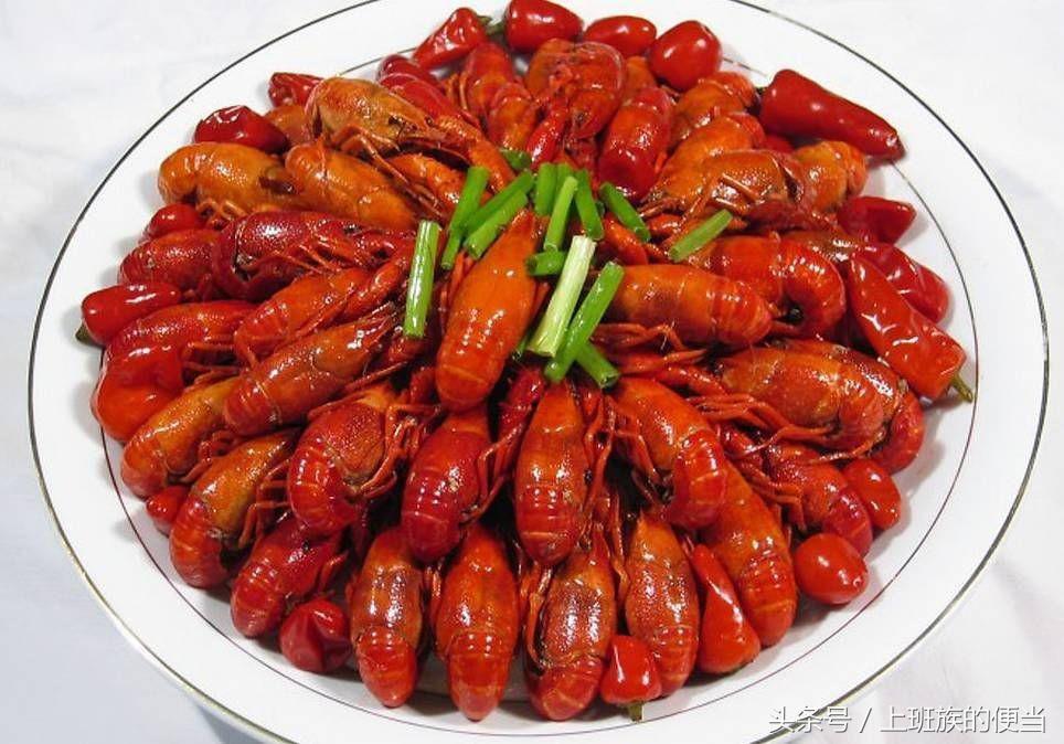 12种常见虾图解大全,各种虾的区别及图片