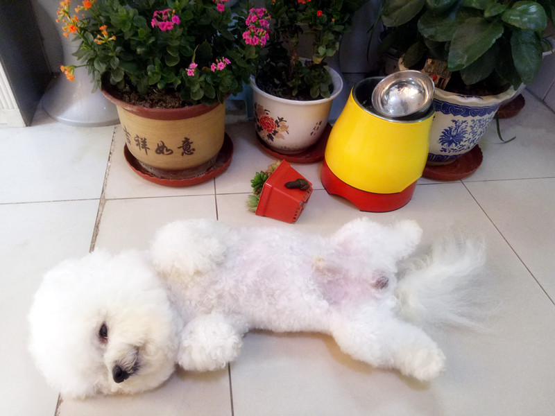 当我抬脚正要进屋时,目光突然被脚下一块顶门砖吸引了!