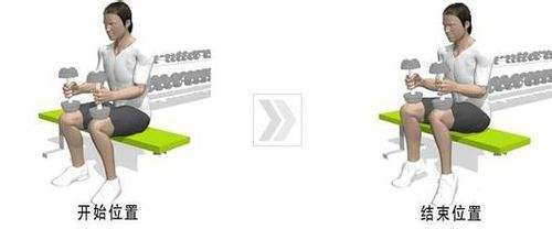 腿部肌肉腓肠肌,腿部肌肉关节