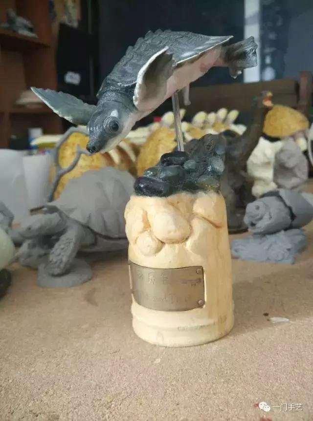 动物模型龟类,乌龟哪个模型好看