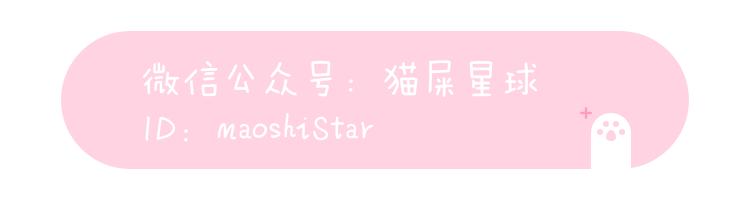 时尚又便宜包,便宜又有设计感的包包品牌