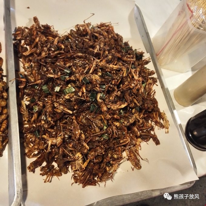 能在异国被警察抓也没谁了吧？这是我的清迈，和你去的不一样！