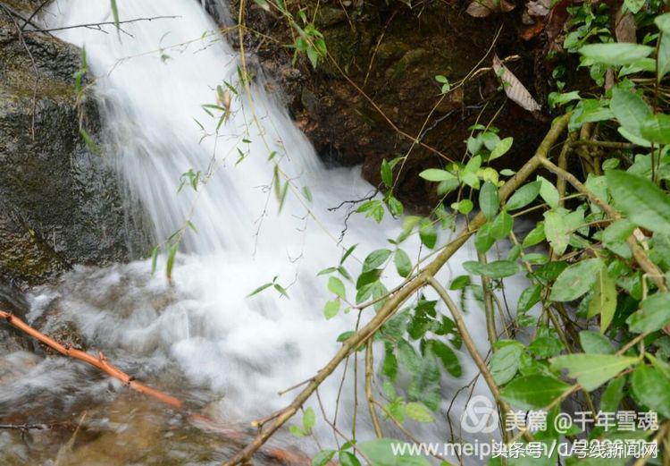 永远的余子店——文/刘宏冰