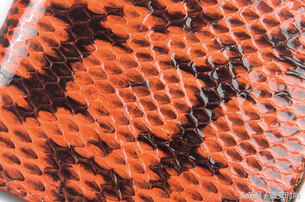 无与伦比皮肤,世界上最贵的蛇皮是什么蛇皮