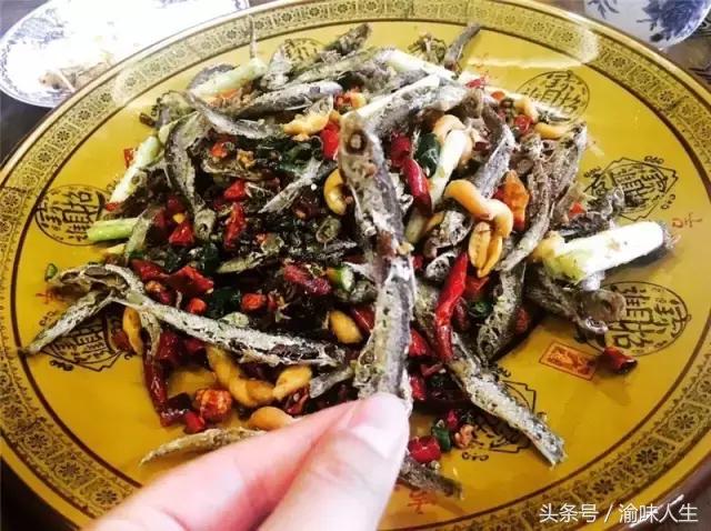 在春风里沉醉重庆这家小酒馆是我的心头爱