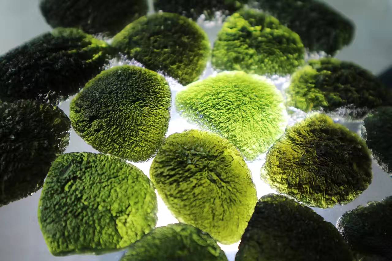 捷克陨石是真陨石吗,陨石捷克