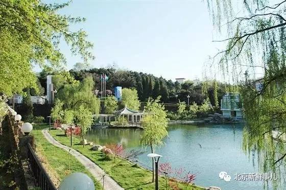 北京赏花踏青自驾游,北京国家森林公园踏青