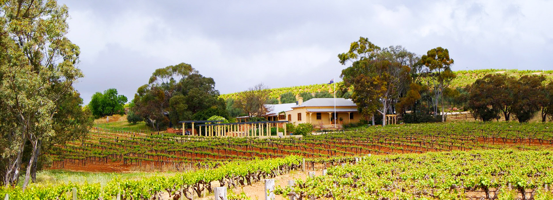 中端名庄酒推荐,榜单法国10大性价比最高的名庄酒