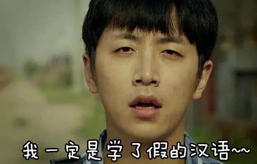 看到这些汉字，我怀疑我可能学了假汉语~