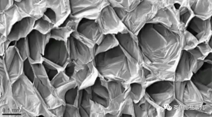 在苹果片上“种”出人耳？！这不是恐怖故事，是脑洞大开的医学新方向啊喂！