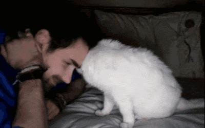 魔都这10家萌宠餐厅酒店，拯救留守在家的喵喵狗狗！咖啡、汉堡、江景……和主子腻在一起！