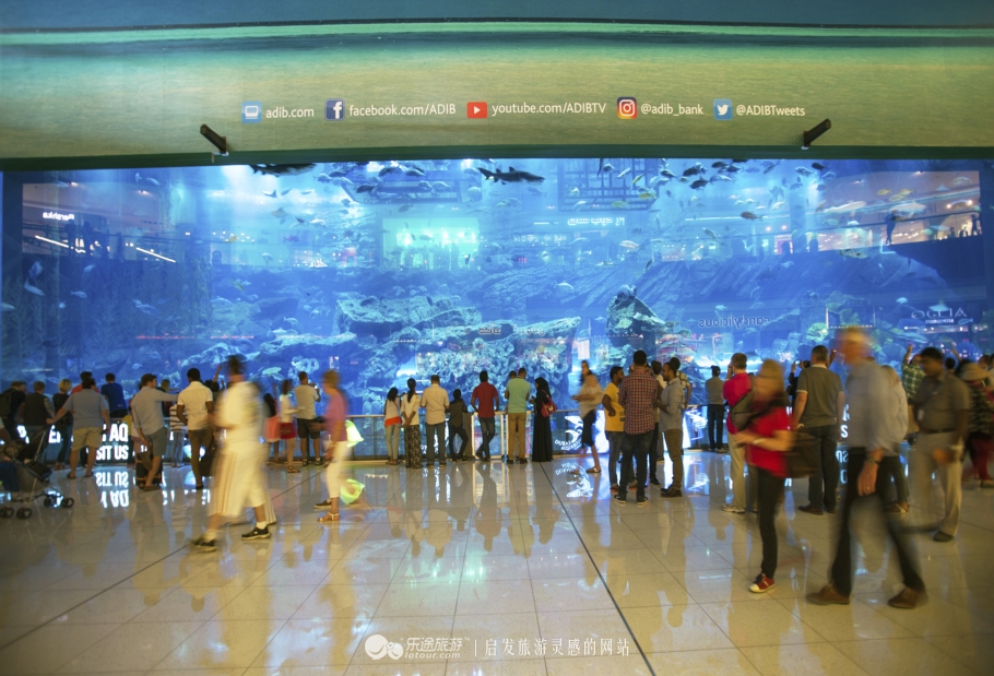 迪拜海洋馆房间,迪拜海底世界