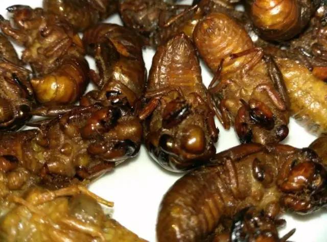 江苏美食比拼,江苏各地主要美食