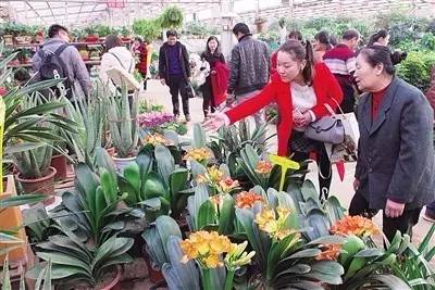 春暖花开踏青正当时完整版,春暖花开踏青季攻略