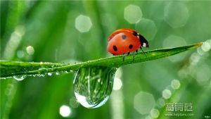 乐视v16s和乐视屏霸音响对比,乐视屏霸详细评测