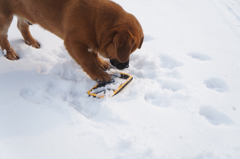 这货是雷神之锤?专业户外手机云狐大黄蜂(A7)体验
