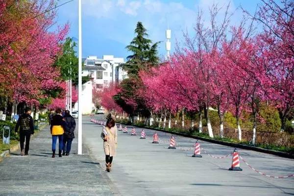 邓超李晨参加鹿晗演唱会全视频,鹿晗演唱会邓超李晨助阵跑男