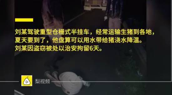 吸毒送外卖,断腿还裸贷……知乎1人分饰244角答题被封