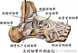 怎么快速恢复崴伤的脚踝,如何彻底治愈脚踝陈旧性扭伤