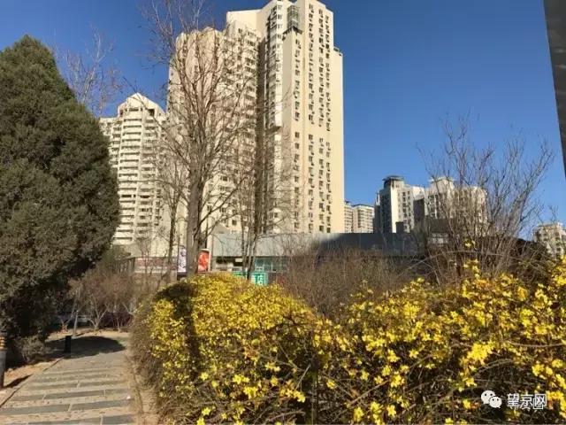 从望京地标到望京西园四区，繁华落尽依旧爱你！