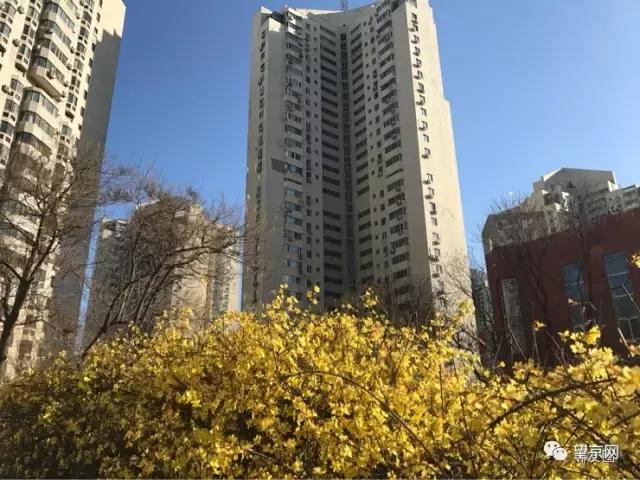 从望京地标到望京西园四区，繁华落尽依旧爱你！