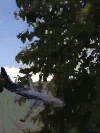 看见刘总从车上拎包下来,跑过去:刘总,我来拿!