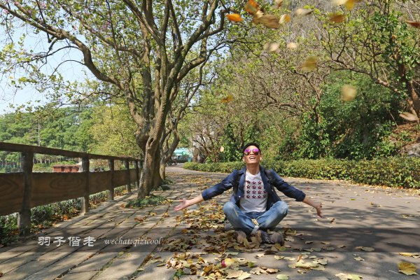 居于涟岸隐于湖,到肇庆体验离尘不离城的精致慢生活