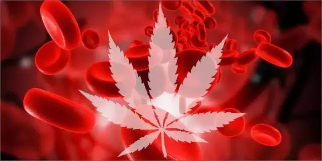 癫痫病的“还魂丹”-*麻大**二酚