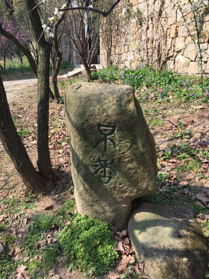 村子修路发现恐龙化石,老人挖出恐龙蛋化石