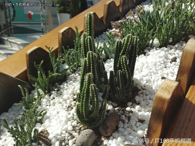 小米5c评测,小米5c怎么样值得买吗