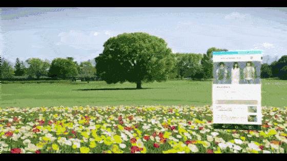 鏈哄満鍏嶇◣搴楁湁娌℃湁ray (涓嶇敤鏃呰璁よ瘉鐨勫厤绋庡簵)