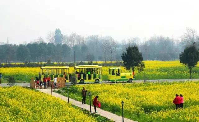 成都天府绿道经过郫都区三道堰吗,成都郫都空中绿道