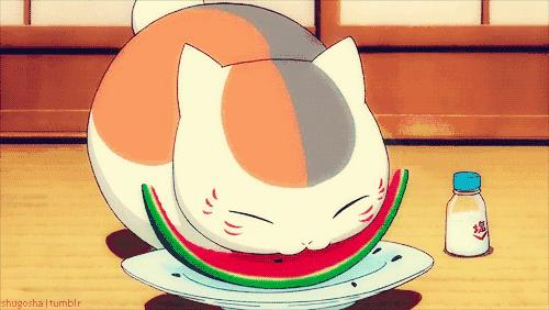 年轻人,想不想亲自去拍个猫片呀!