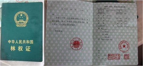 农村土地确权后地的使用权归谁,农村旧的土地确权证书还有效吗