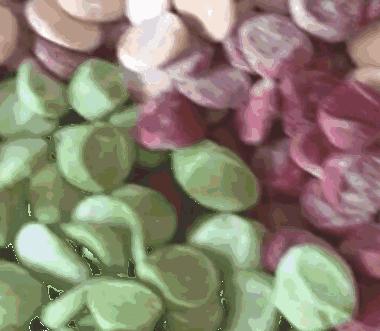 扒一扒那些在芜湖朋友圈的隐患，如果没有你们我会瘦