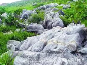 离开邓州？别逗了，五年后的大邓州，你高攀不起！