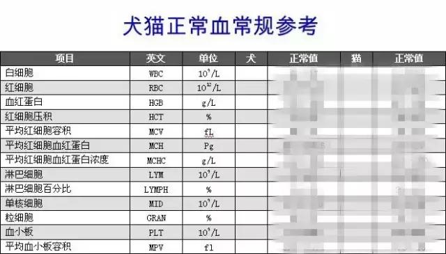 读懂宠物化验单,爱宠影像学检查