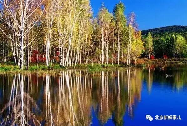 北京植物园踏青赏花,踏青赏花北京