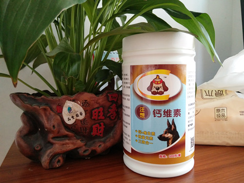 德牧两条后腿无法走路，完全不能使力