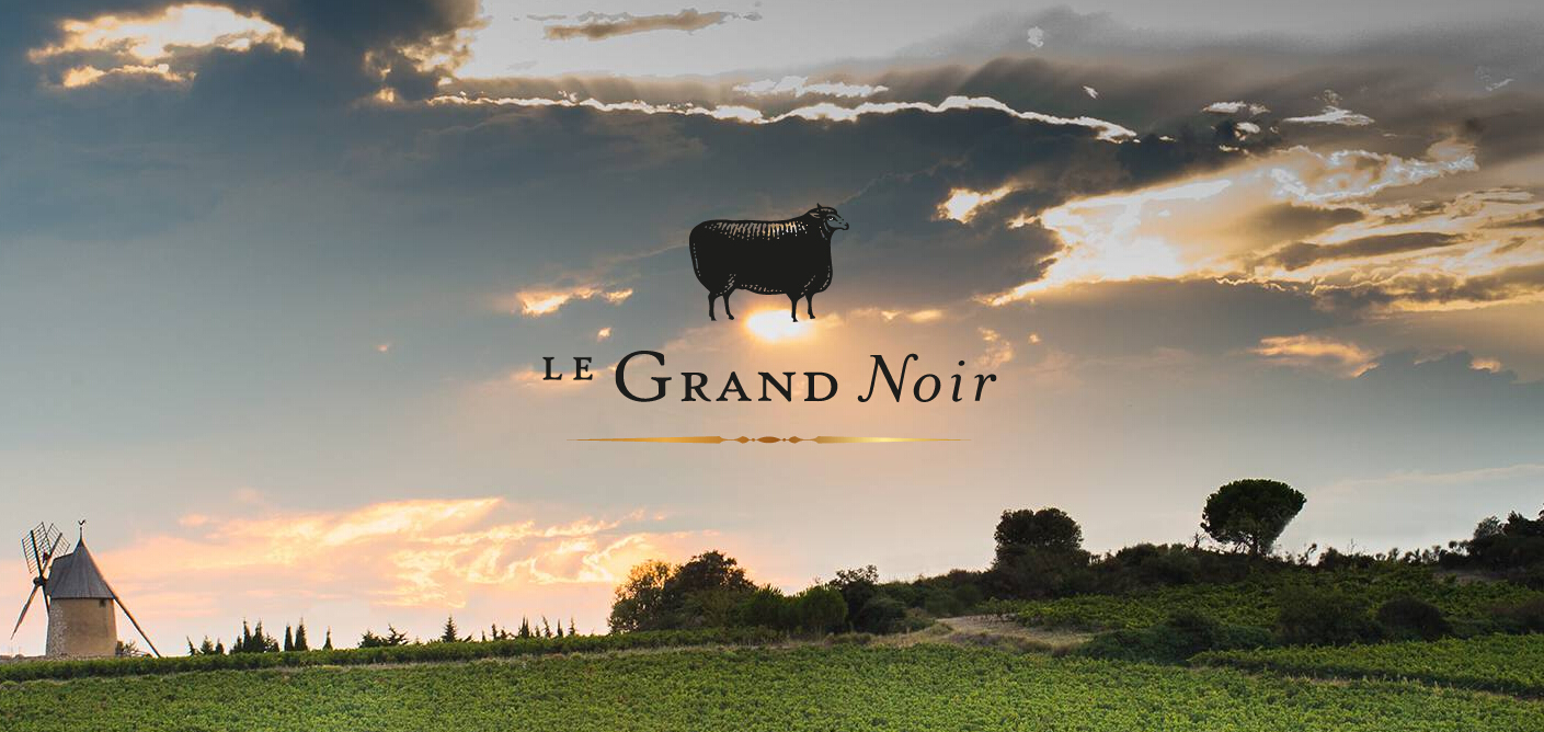 真正的美酒，是上帝的血液（法国大黑羊）