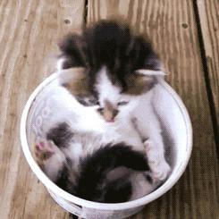 花了好几个亿都还在被黑的景甜，就这样洗个脸就红啦？！