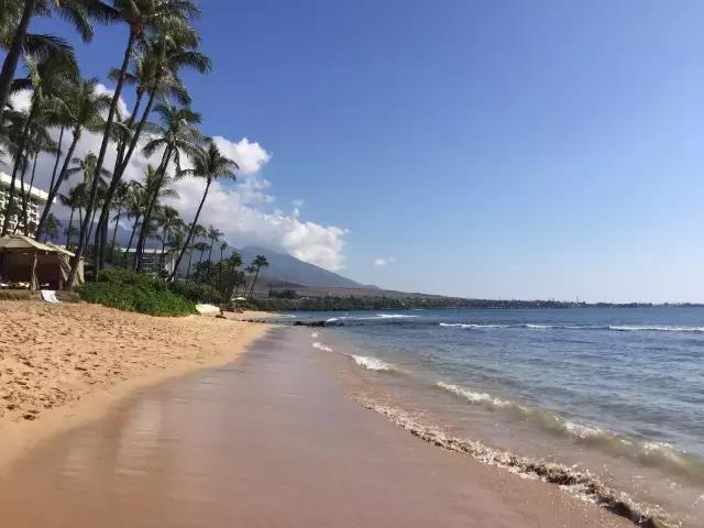 夏威夷毛伊岛旅行记 (毛伊岛旅游必做的100件事)