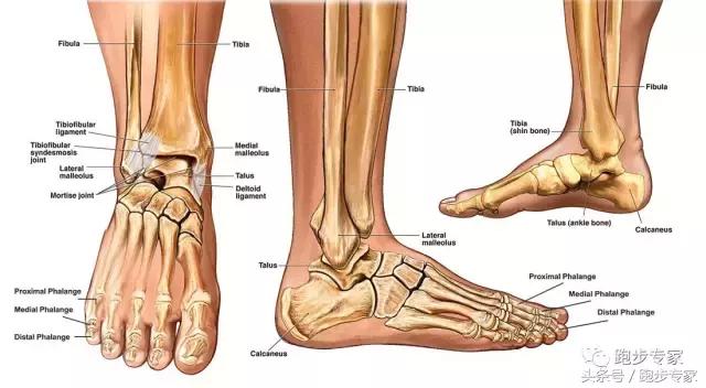 初跑者跑完脚痛怎么办,跑者小腿疼痛如何解决