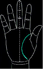 手的生命线是越长越好吗,手纹上的生命线越长越好吗