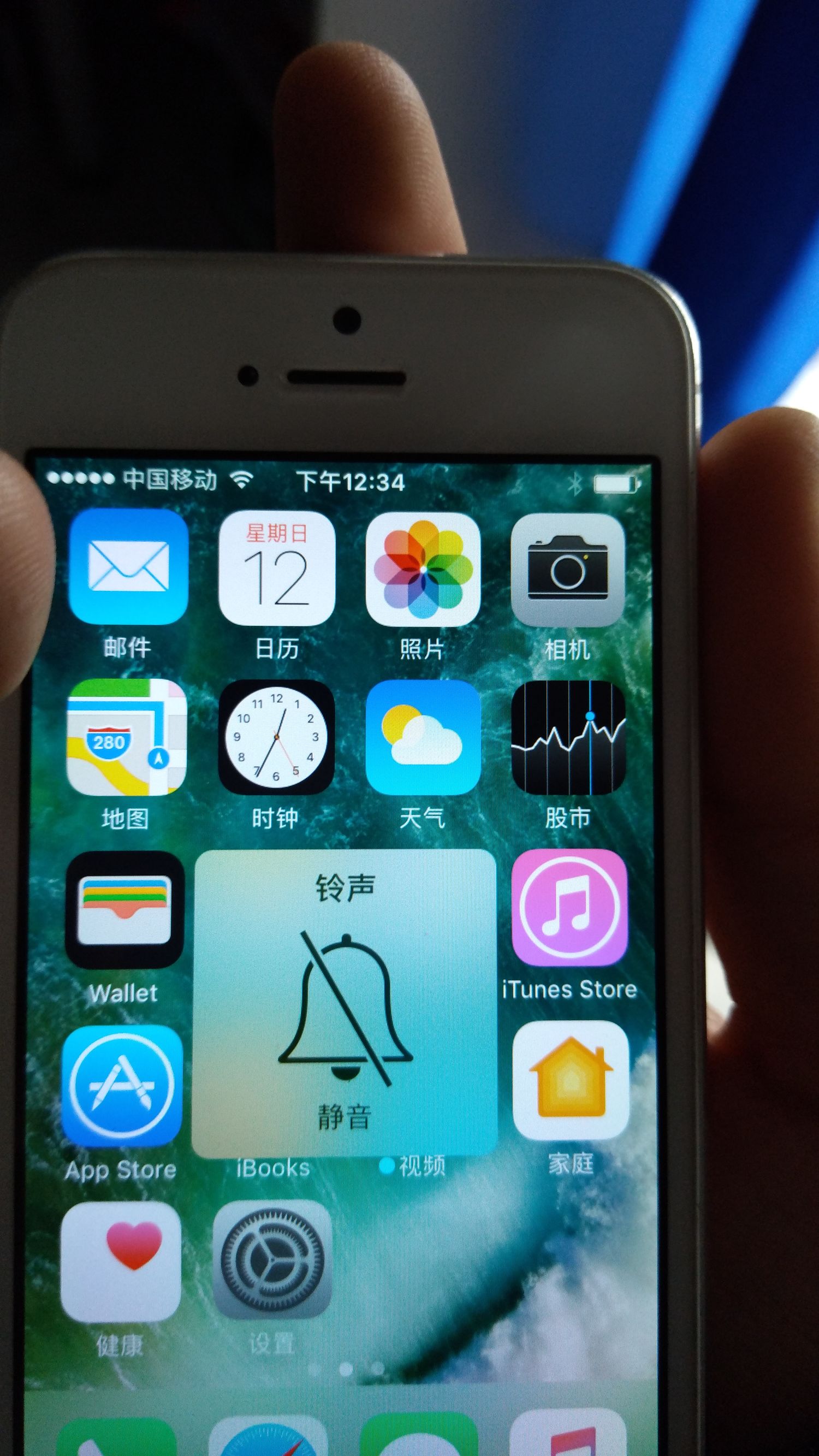 闲鱼买的苹果5s,闲鱼上4000多的5d4