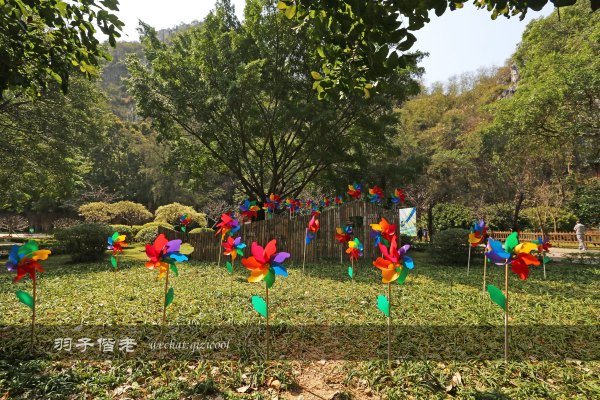 居于涟岸隐于湖,到肇庆体验离尘不离城的精致慢生活