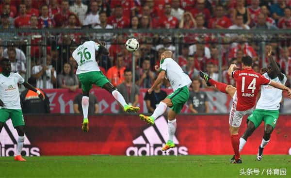 晴空专栏解说,晴空专栏小视频