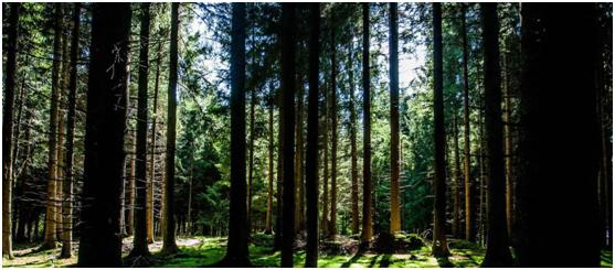 互联网装修平台智能家居,互联网整体家装