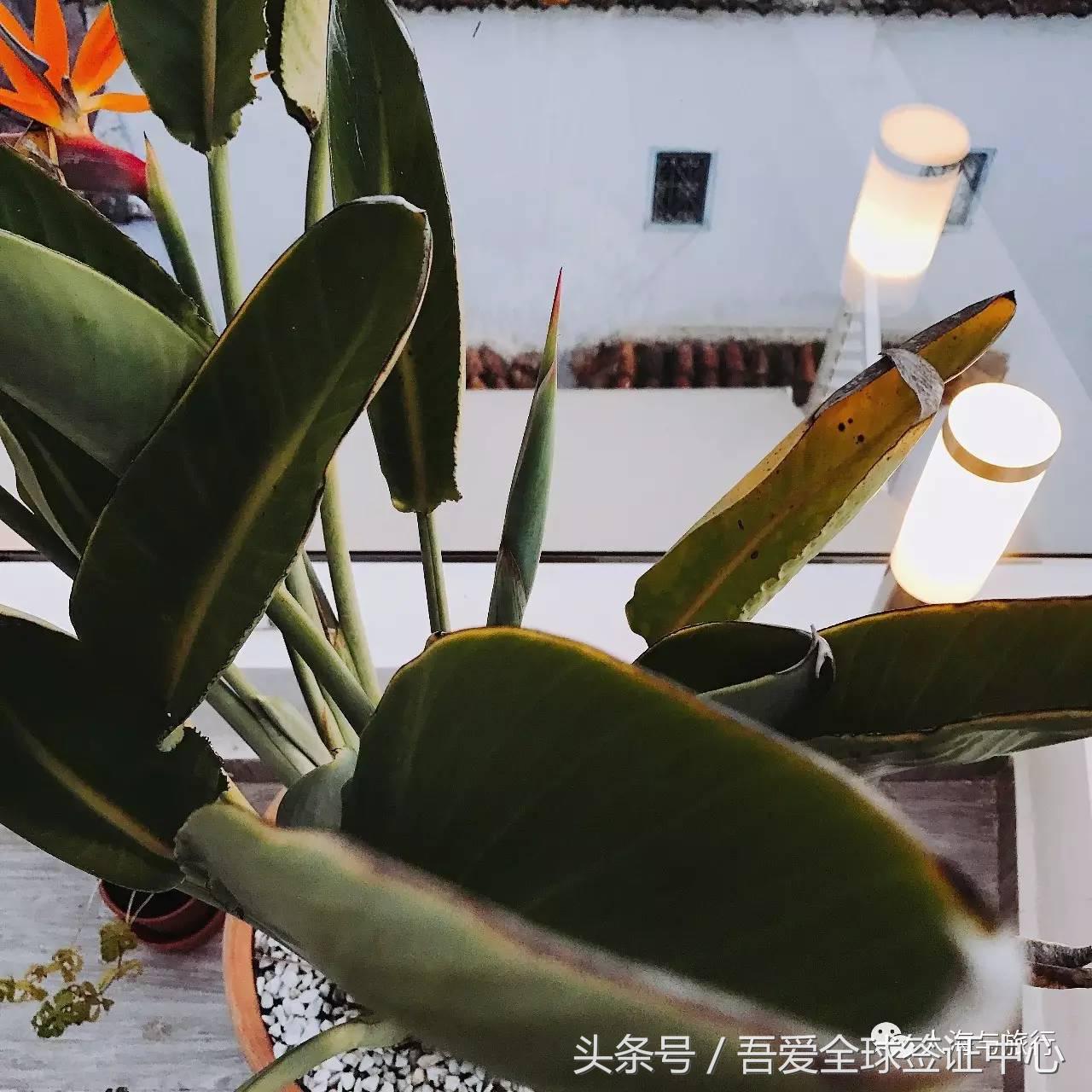 摩洛哥自由行全攻略 (最全的摩洛哥攻略)