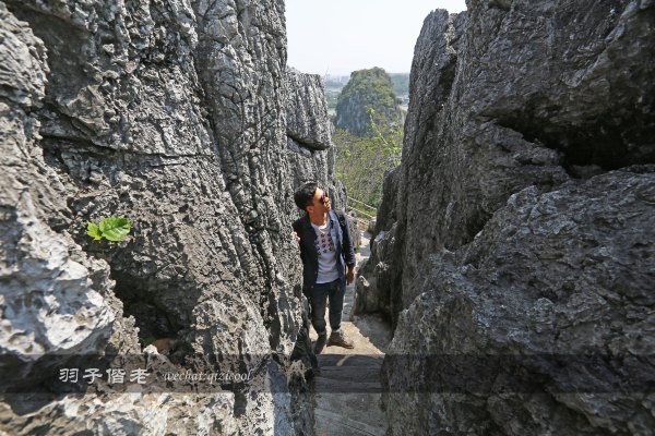 居于涟岸隐于湖,到肇庆体验离尘不离城的精致慢生活